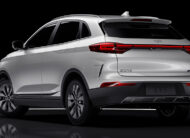 Weltmeister EX5