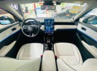HONDA E NS1