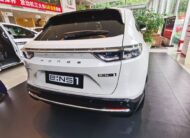 HONDA E NS1